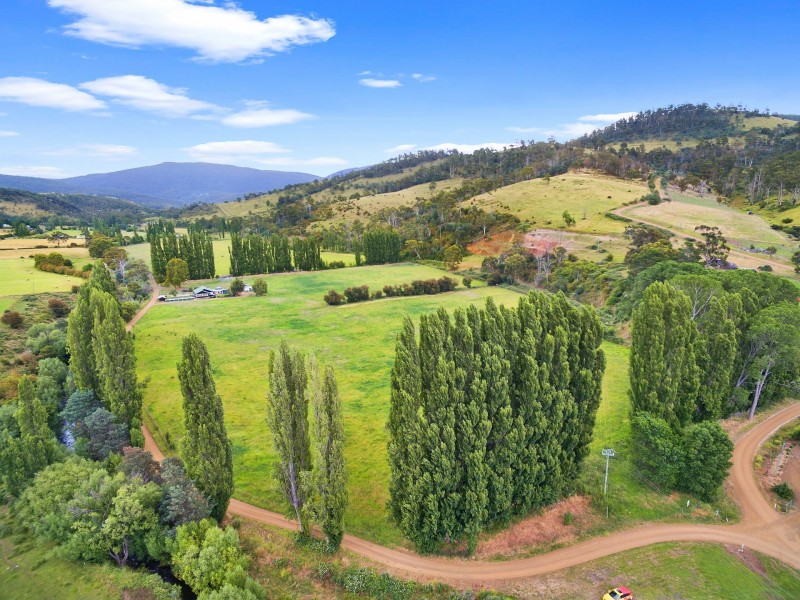 7 Moores Road, Lachlan TAS 7140