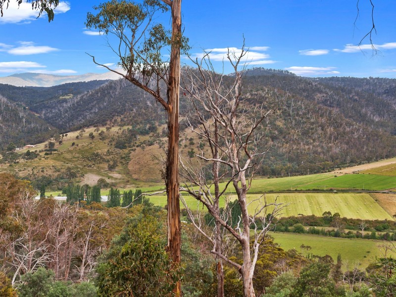 7 Moores Road, Lachlan TAS 7140