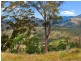 7 Moores Road, Lachlan TAS 7140