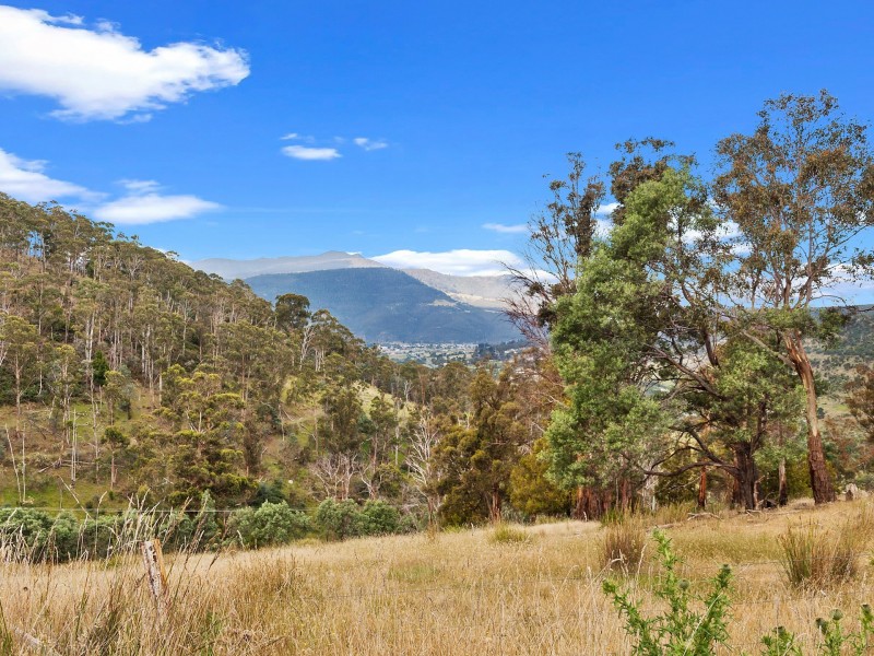 7 Moores Road, Lachlan TAS 7140
