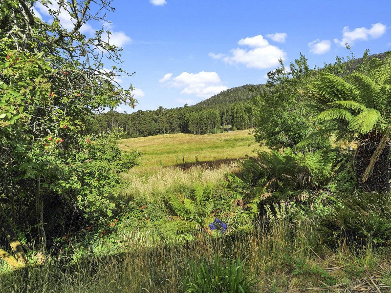 3001 Gordon River Road, Tyenna TAS 7140