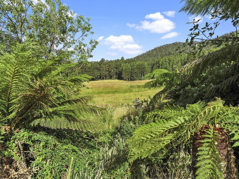 3001 Gordon River Road, Tyenna TAS 7140