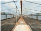 17 Geiss Lane, Granton TAS 7030