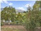 33 Tongatabu Road, Dromedary TAS 7030