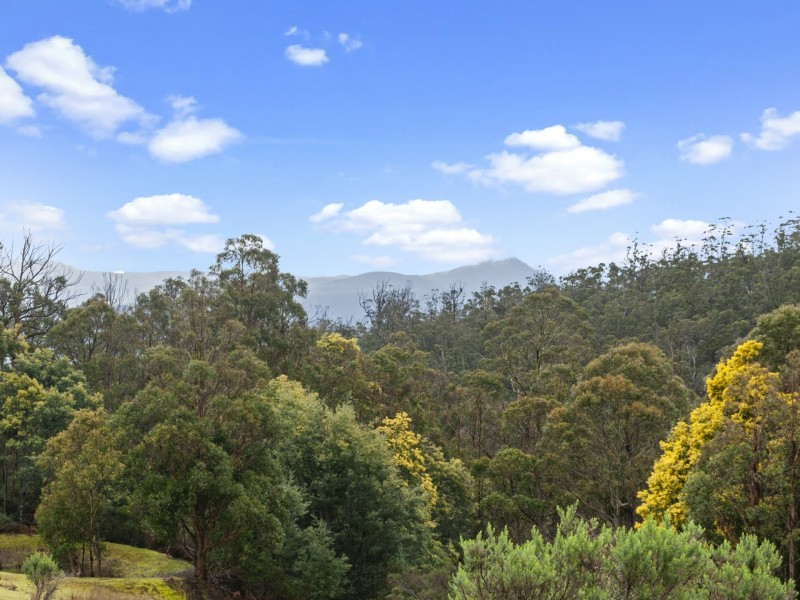 652 Collins Cap Road, Collinsvale TAS 7012