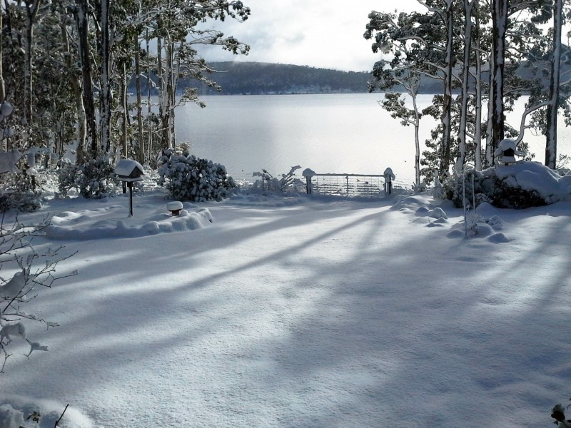 219 Bradys Lake Road, Bradys Lake TAS 7140