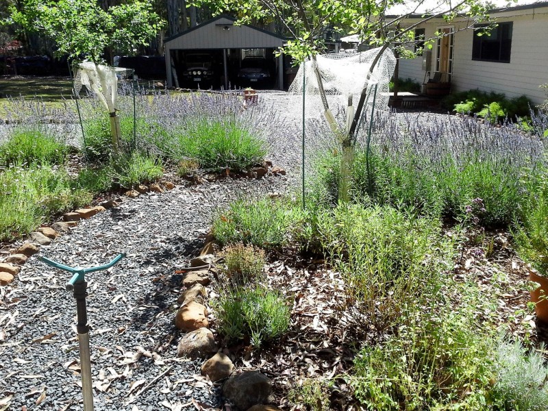 219 Bradys Lake Road, Bradys Lake TAS 7140
