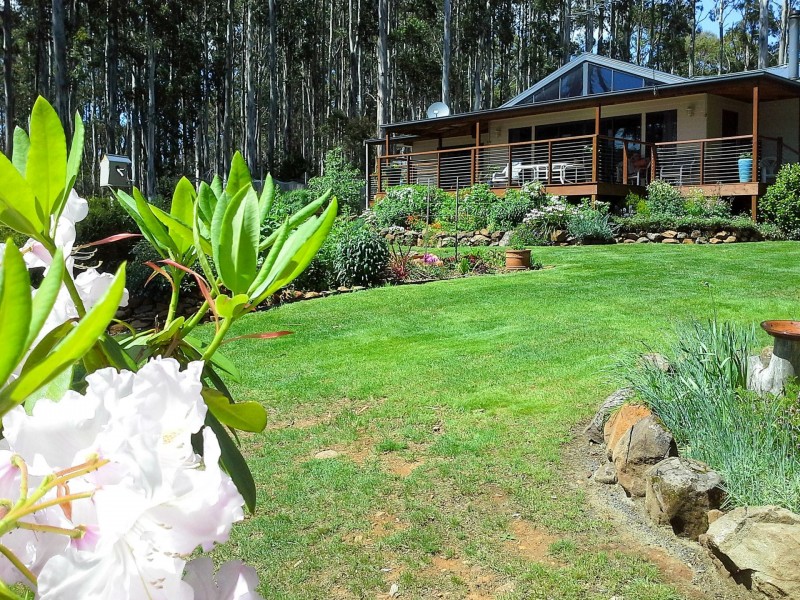 219 Bradys Lake Road, Bradys Lake TAS 7140
