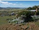 268 Grices Road, Tea Tree TAS 7017