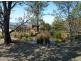 268 Grices Road, Tea Tree TAS 7017