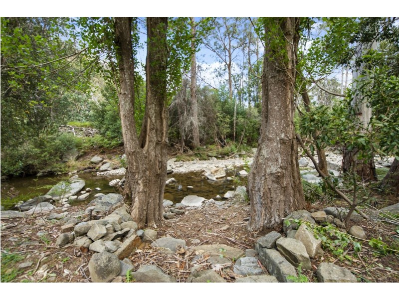 722 Molesworth Road, Molesworth TAS 7140