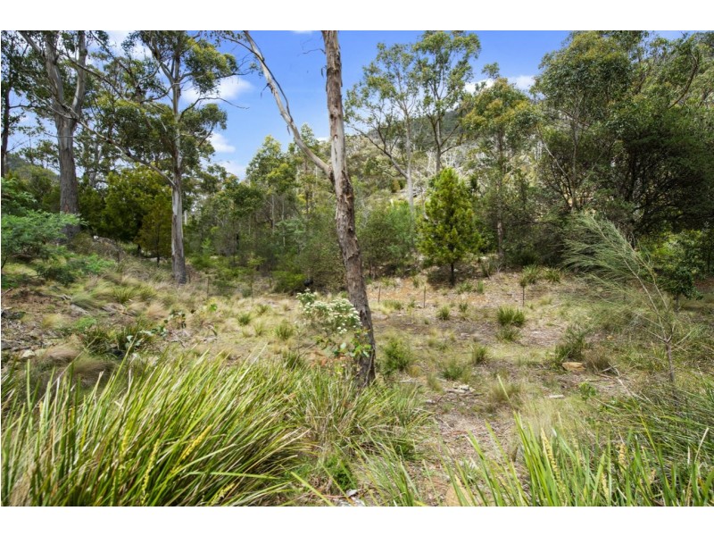 722 Molesworth Road, Molesworth TAS 7140