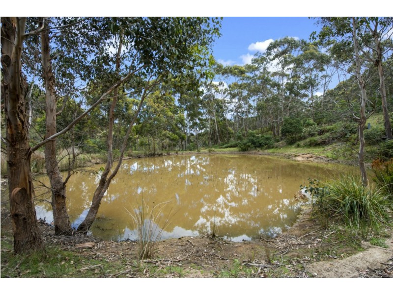 722 Molesworth Road, Molesworth TAS 7140