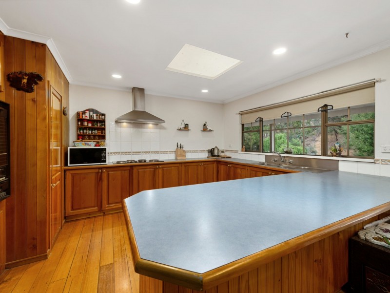 1165 Collins Cap Road, Molesworth TAS 7140