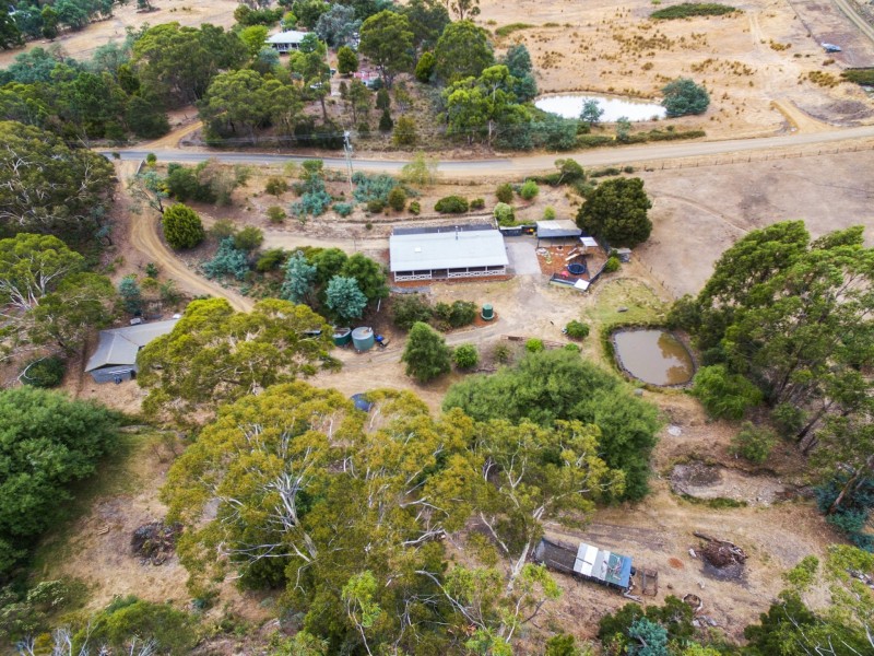 1165 Collins Cap Road, Molesworth TAS 7140