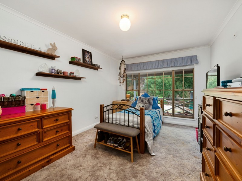1165 Collins Cap Road, Molesworth TAS 7140