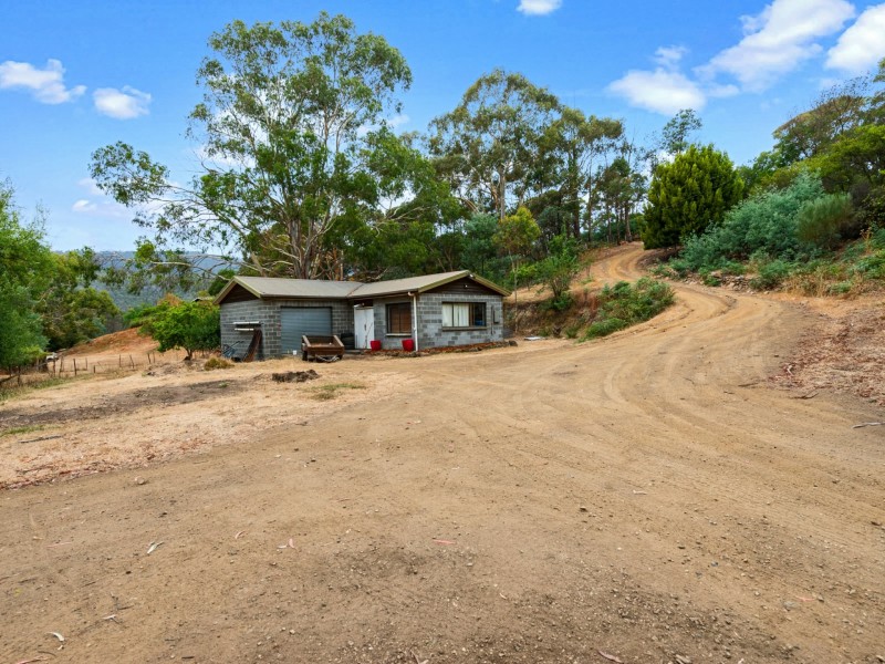 1165 Collins Cap Road, Molesworth TAS 7140