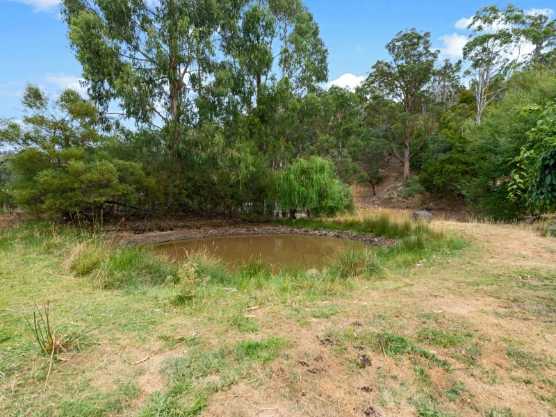 1165 Collins Cap Road, Molesworth TAS 7140