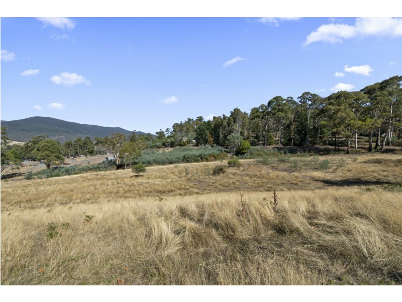10 Briers Road, Lachlan TAS 7140
