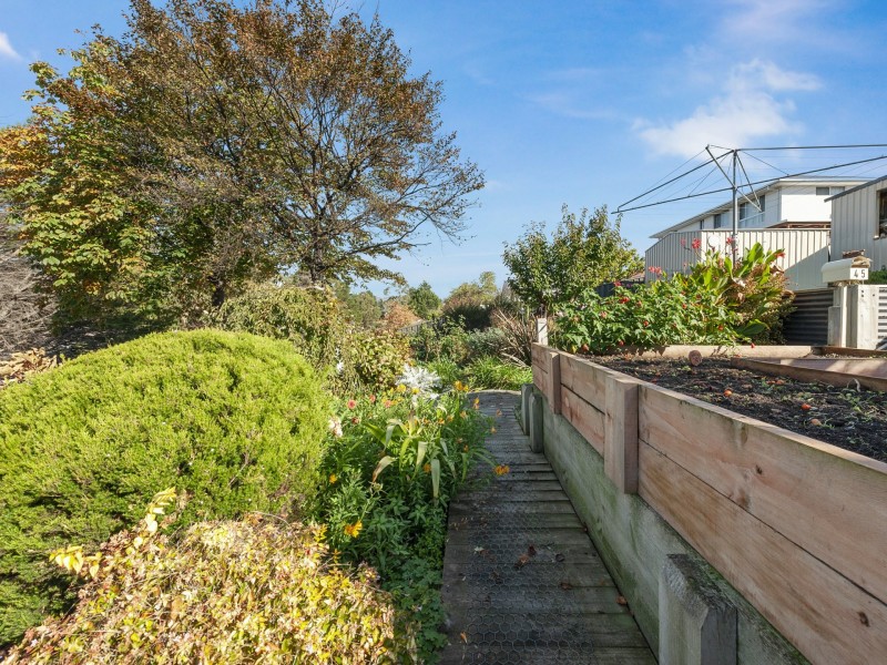 23 Derwent Terrace, New Norfolk TAS 7140