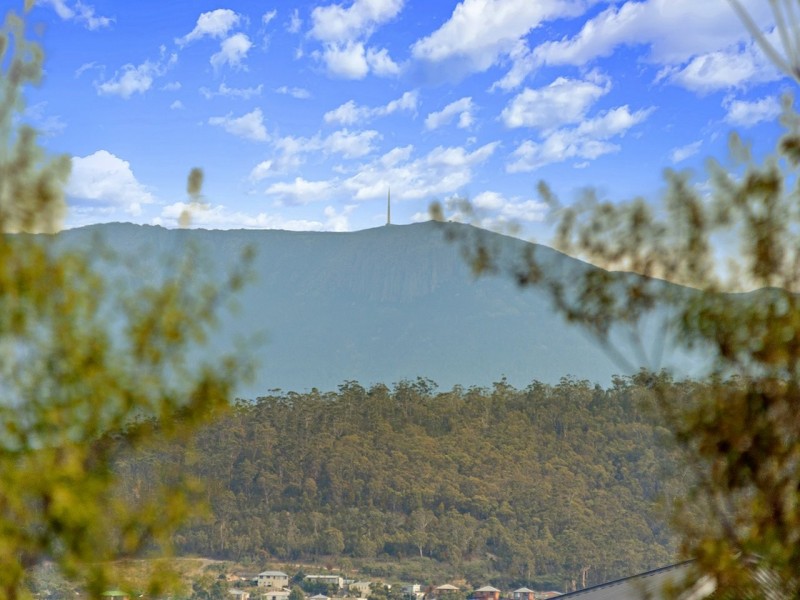 19 Ivy Close, Oakdowns TAS 7019