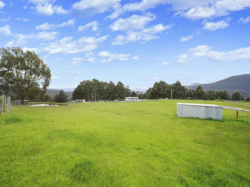 333 Top Swamp Road, Lachlan TAS 7140