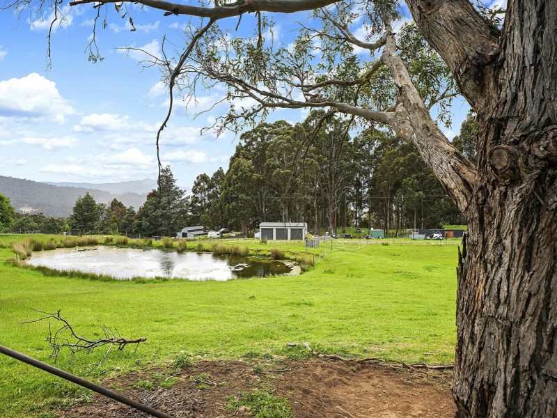 333 Top Swamp Road, Lachlan TAS 7140