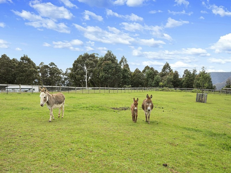 333 Top Swamp Road, Lachlan TAS 7140