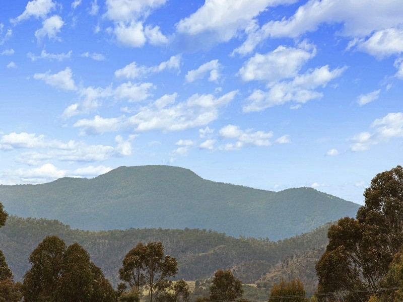 333 Top Swamp Road, Lachlan TAS 7140