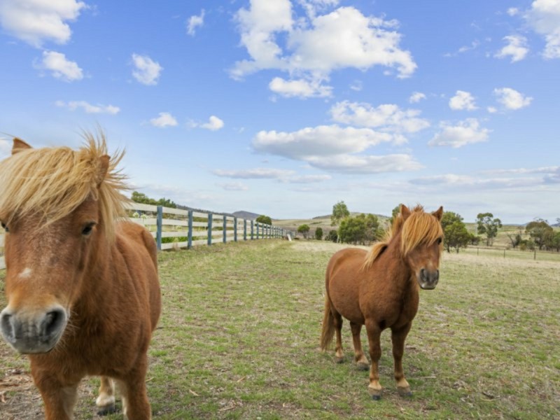 2 Walworth Road, Richmond TAS 7025