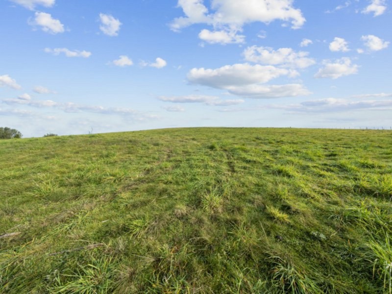 477 Prossers Road, Richmond TAS 7025