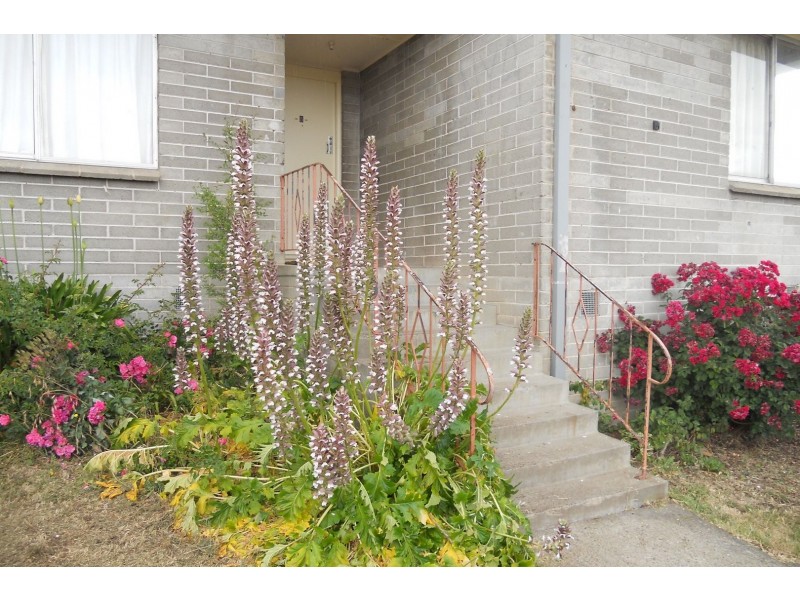 5 Willis Street, Bridgewater TAS 7030