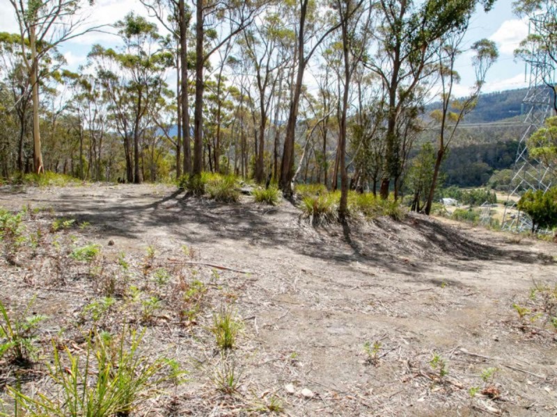 484 Molesworth Road, Molesworth TAS 7140