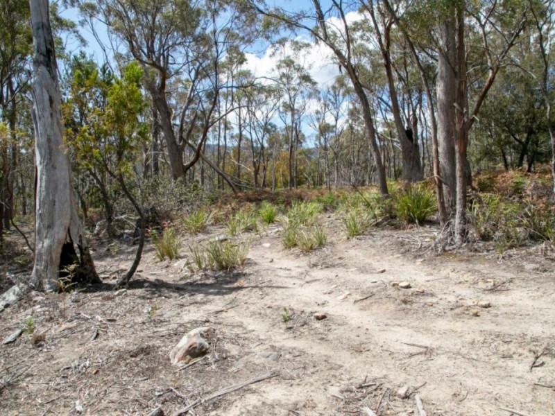 484 Molesworth Road, Molesworth TAS 7140