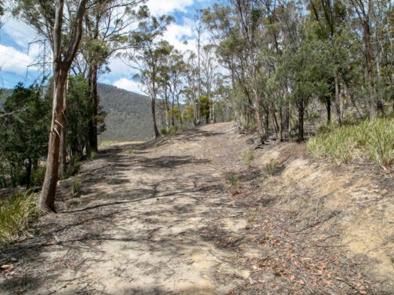 484 Molesworth Road, Molesworth TAS 7140