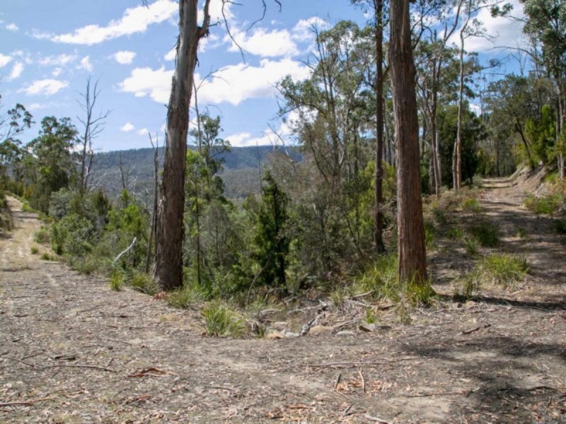 484 Molesworth Road, Molesworth TAS 7140