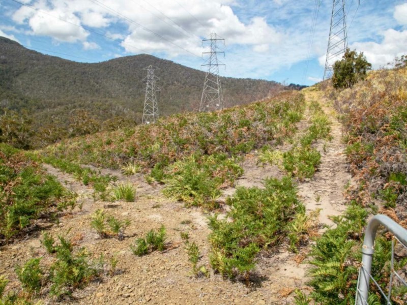 484 Molesworth Road, Molesworth TAS 7140