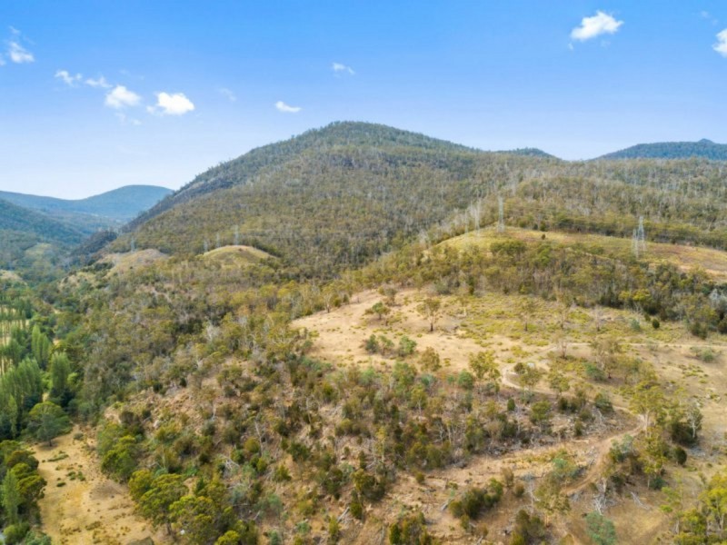 484 Molesworth Road, Molesworth TAS 7140