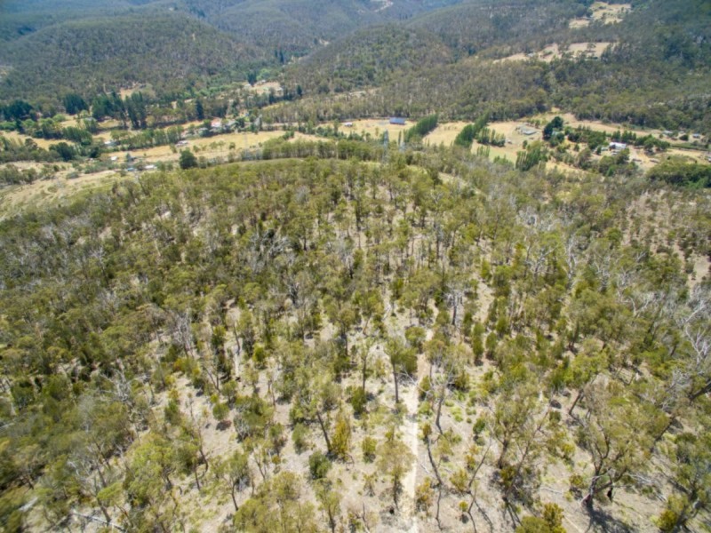 484 Molesworth Road, Molesworth TAS 7140