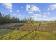 Lot 2/ Braslins Road, Black Hills TAS 7140
