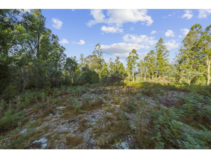 Lot 2/ Braslins Road, Black Hills TAS 7140