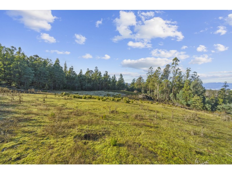 Lot 2/ Braslins Road, Black Hills TAS 7140