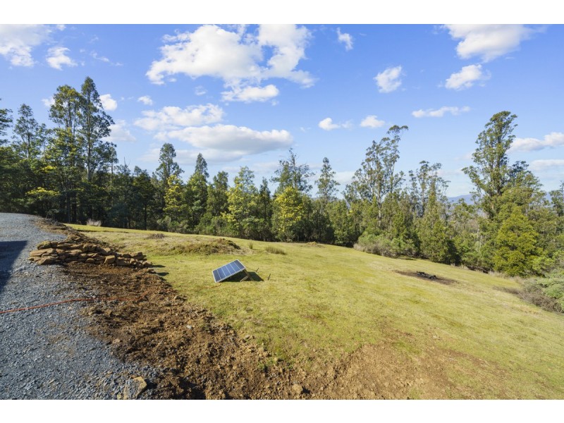 354 Braslins Road, Black Hills TAS 7140