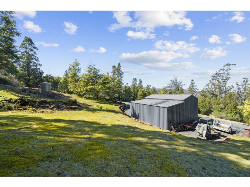 354 Braslins Road, Black Hills TAS 7140