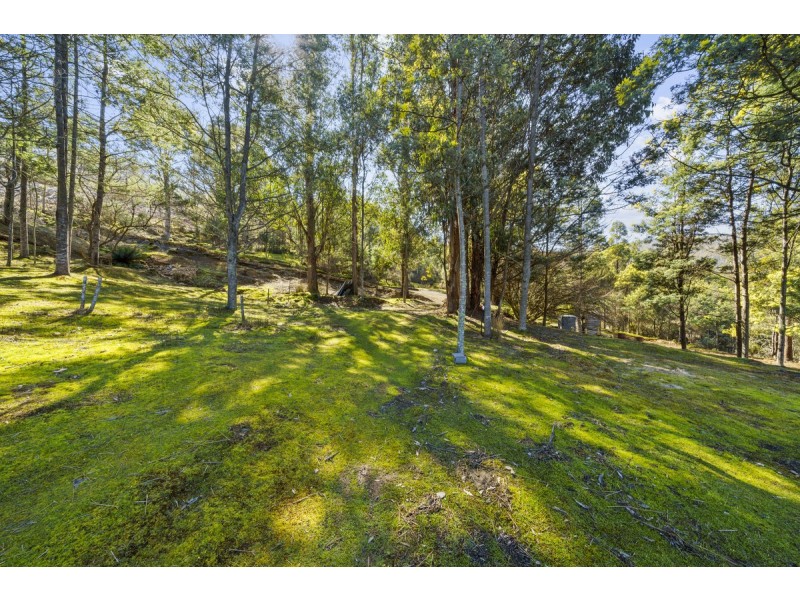 354 Braslins Road, Black Hills TAS 7140