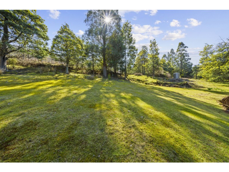 354 Braslins Road, Black Hills TAS 7140