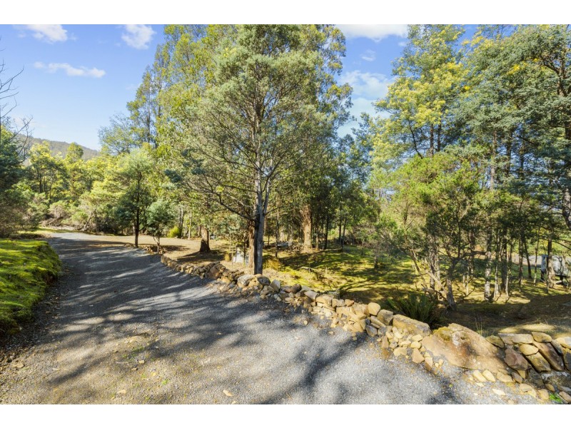 354 Braslins Road, Black Hills TAS 7140