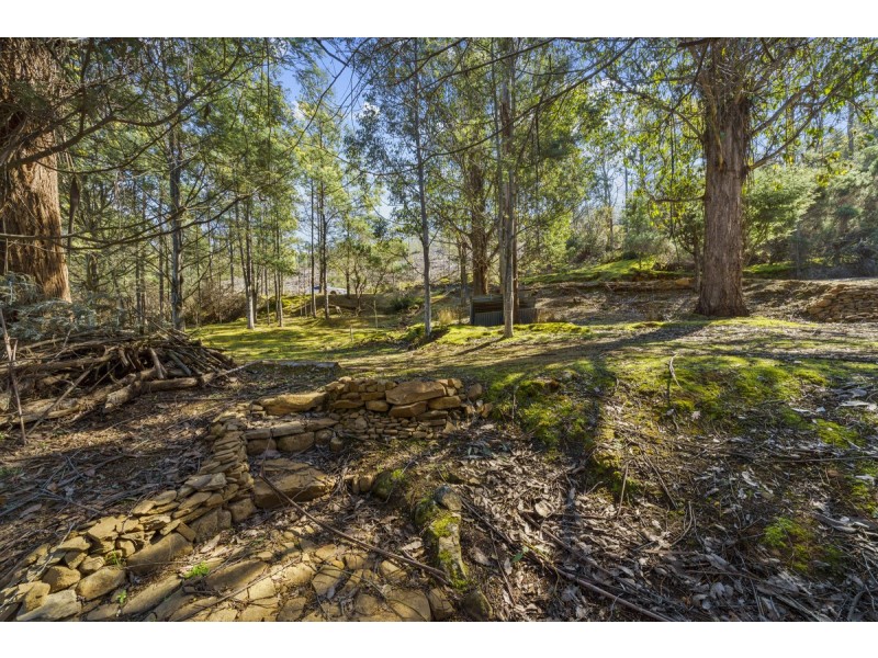 354 Braslins Road, Black Hills TAS 7140