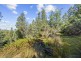 354 Braslins Road, Black Hills TAS 7140