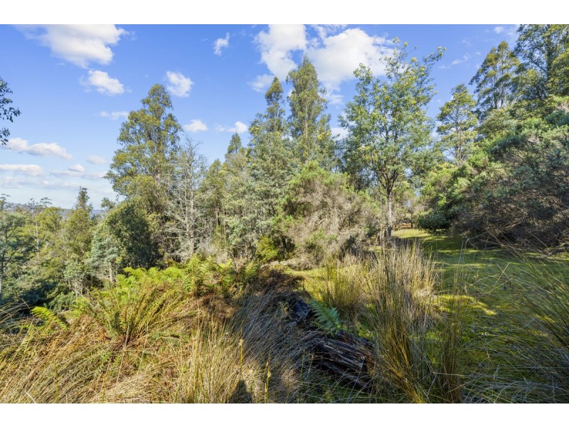 354 Braslins Road, Black Hills TAS 7140